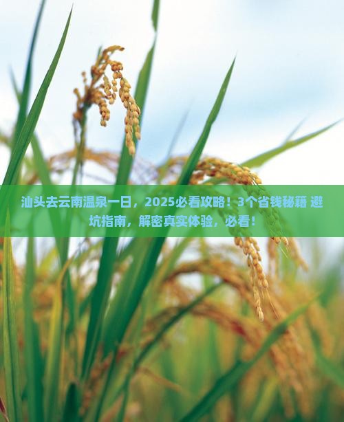 汕头去云南温泉一日