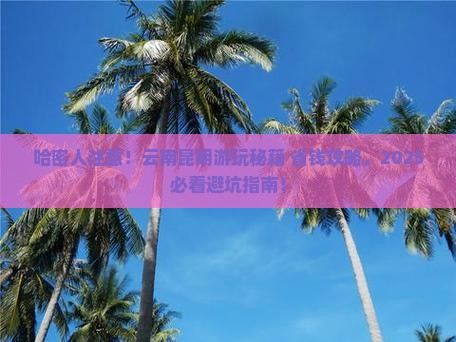 哈密去云南昆明哪里玩