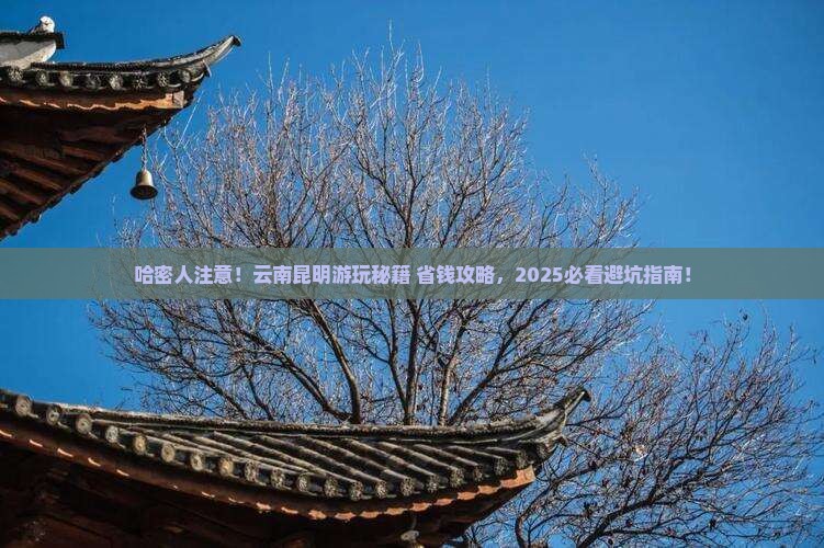 哈密去云南昆明哪里玩
