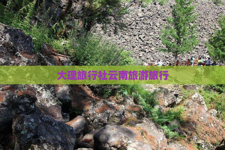 冬天去云南大理旅行社
