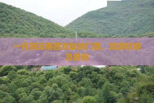 一月到云南西双版纳门票
