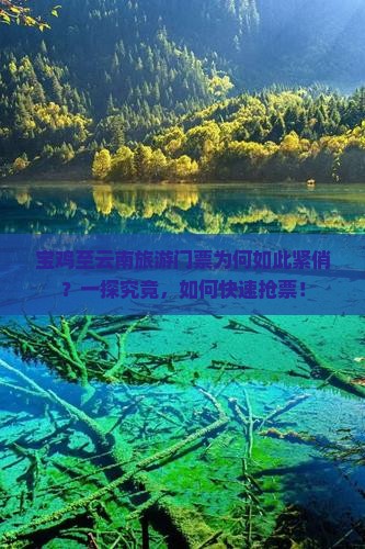 宝鸡至云南旅游门票为何如此紧俏？一探究竟，如何快速抢票！