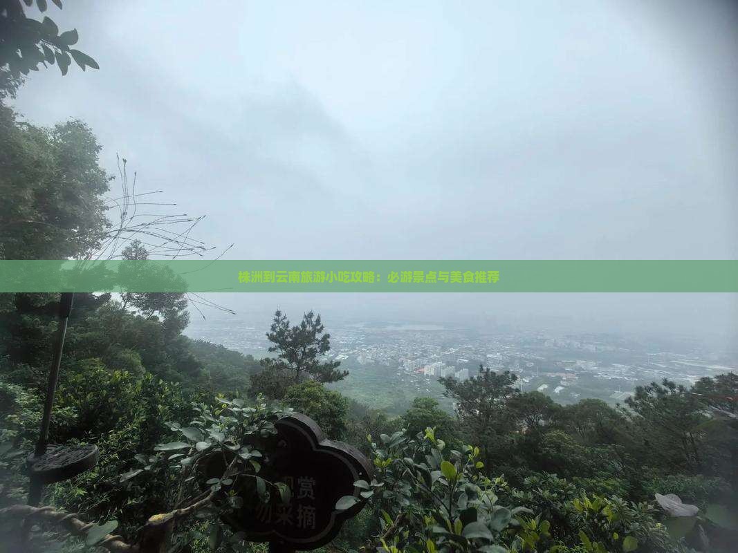 株洲到云南旅游小吃攻略：必游景点与美食推荐