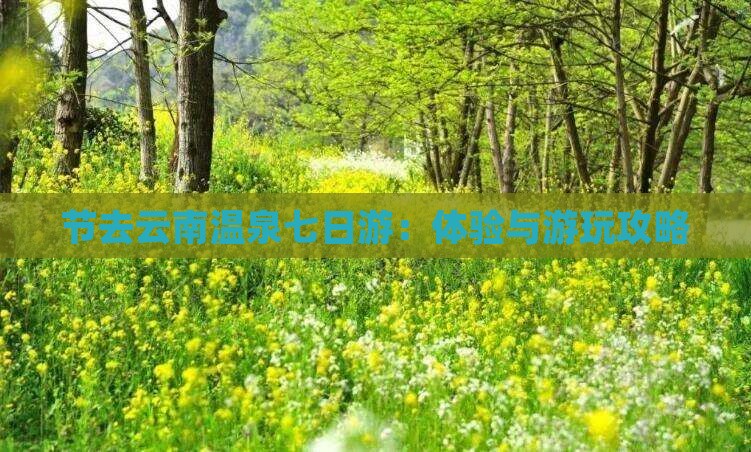 节去云南温泉七日游：体验与游玩攻略