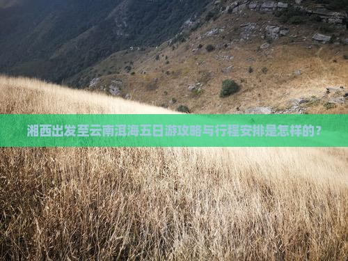 湘西出发至云南洱海五日游攻略与行程安排是怎样的？