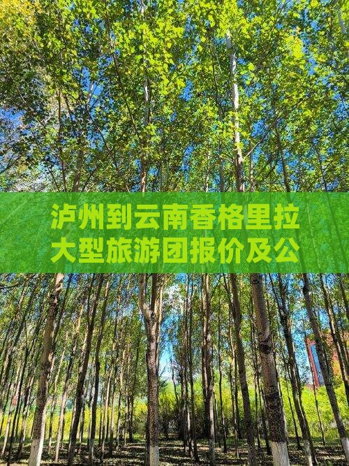 泸州到云南香格里拉大型旅游团报价及公里数