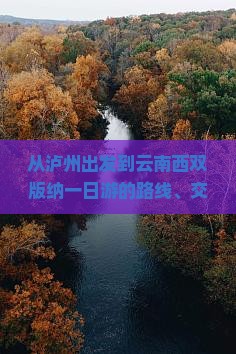 从泸州出发到云南西双版纳一日游的路线、交通方式和旅游攻略是什么？