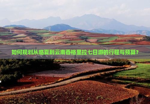 如何规划从临夏到云南香格里拉七日游的行程与预算？