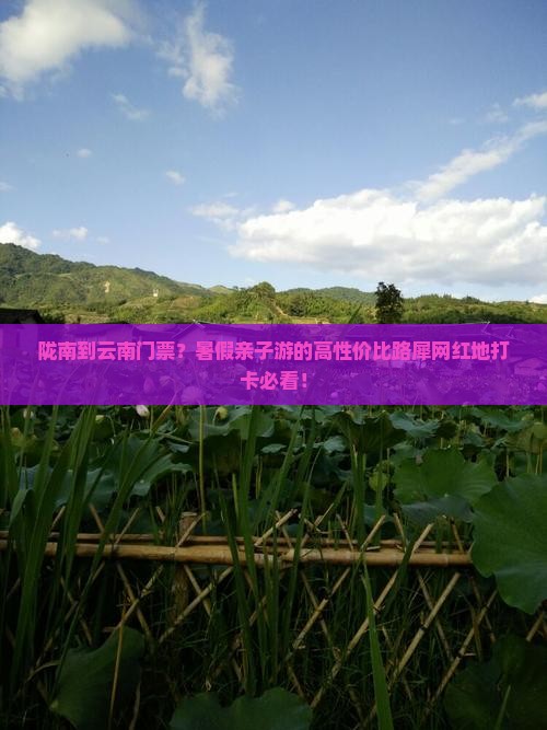 陇南到云南门票？暑假亲子游的高性价比路犀网红地打卡必看！
