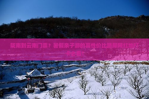 陇南到云南门票？暑假亲子游的高性价比路犀网红地打卡必看！
