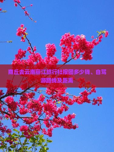 商丘去云南丽江旅行社报团多少钱、自驾游路线及距离