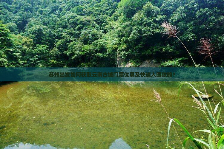 苏州出发如何获取云南古城门票优惠及快速入园攻略？
