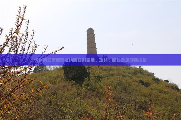 忻州到云南西双版纳四日游费用、攻略、路线及旅游团报价