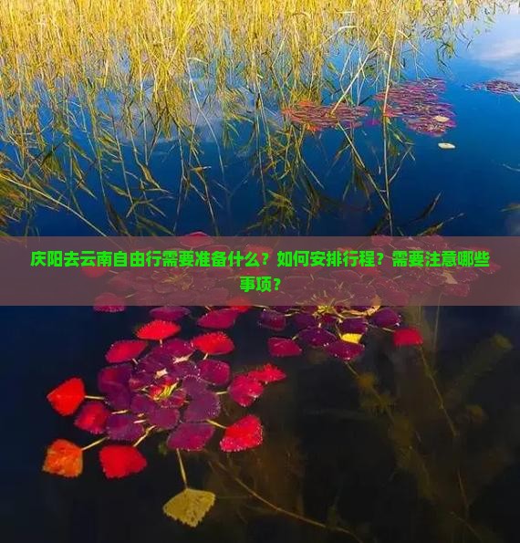 庆阳去云南自由行需要准备什么？如何安排行程？需要注意哪些事项？
