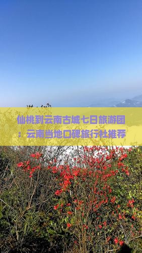 仙桃到云南古城七日旅游团：云南当地口碑旅行社推荐|大理古城景点看看|河北国际旅游团报价咨询