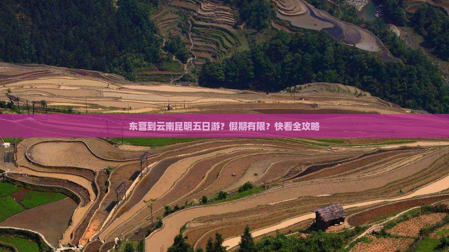 东营到云南昆明五日游？假期有限？快看全攻略