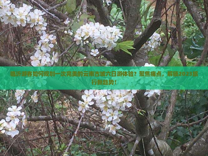 临沂游客如何规划一次完美的云南古城六日游体验？聚焦痛点，解锁2023旅行新趋势！