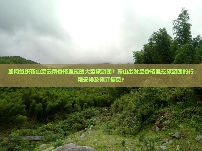 如何组织鞍山至云南香格里拉的大型旅游团？鞍山出发至香格里拉旅游团的行程安排及预订信息？