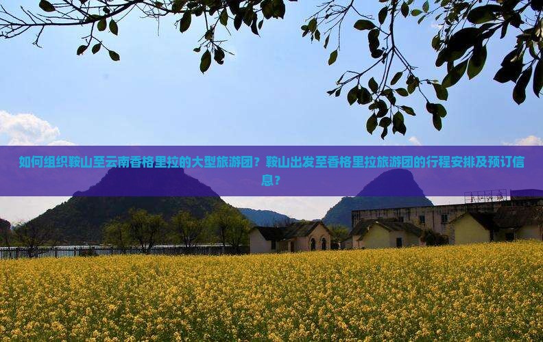 如何组织鞍山至云南香格里拉的大型旅游团？鞍山出发至香格里拉旅游团的行程安排及预订信息？