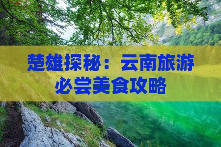 楚雄探秘：云南旅游必尝美食攻略