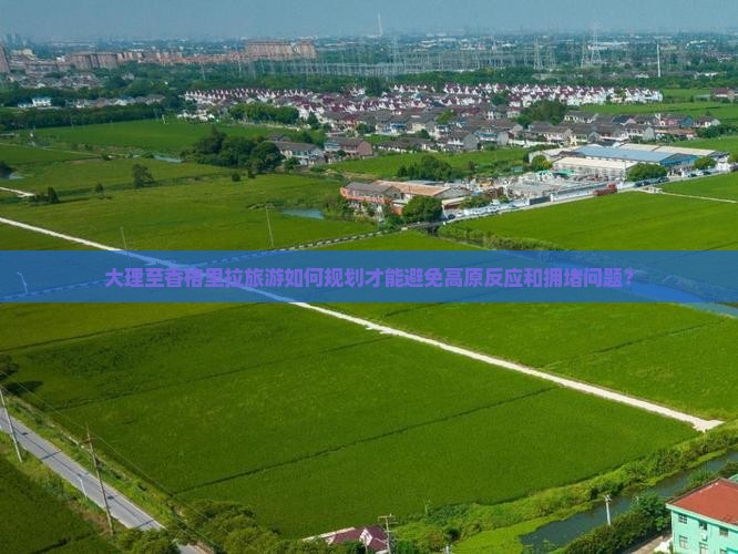 大理至香格里拉旅游如何规划才能避免高原反应和拥堵问题？