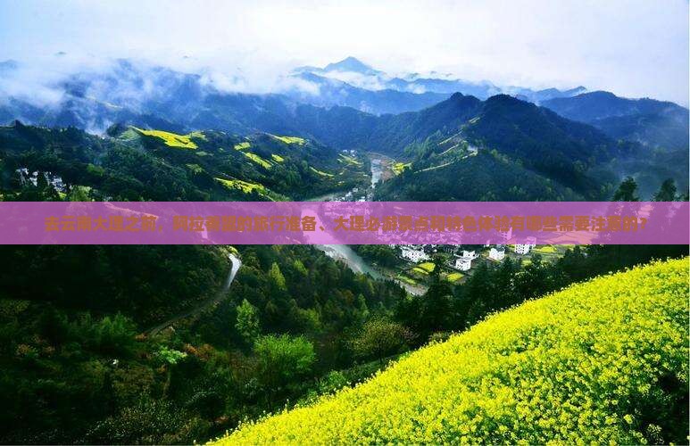 去云南大理之前，阿拉善盟的旅行准备、大理必游景点和特色体验有哪些需要注意的？