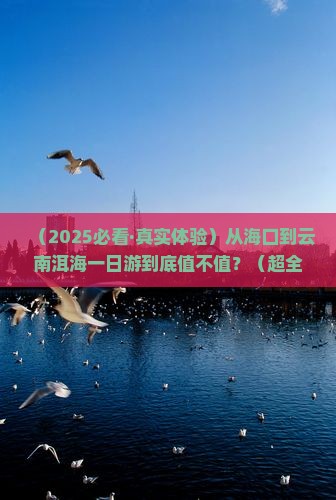 海口到云南洱海一日 海口到云南洱海一日