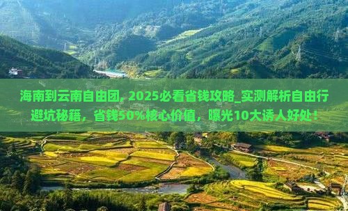 海南到云南自由团