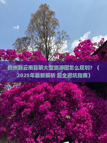 钦州去云南昆明大型旅游团