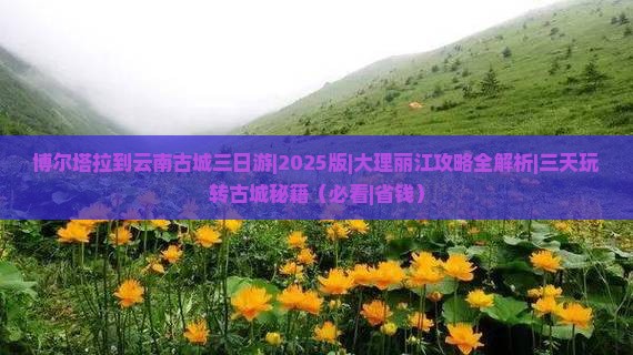 博尔塔拉到云南古城三日游