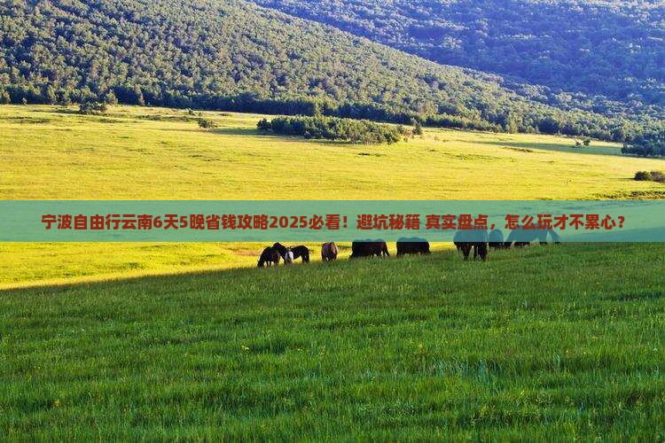 宁波到云南自由行