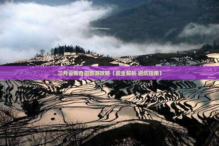 三月去云南古城自由团