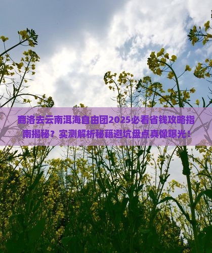 商洛去云南洱海自由团