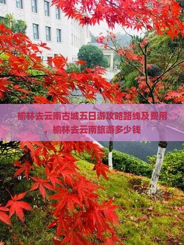 榆林去云南古城五日游