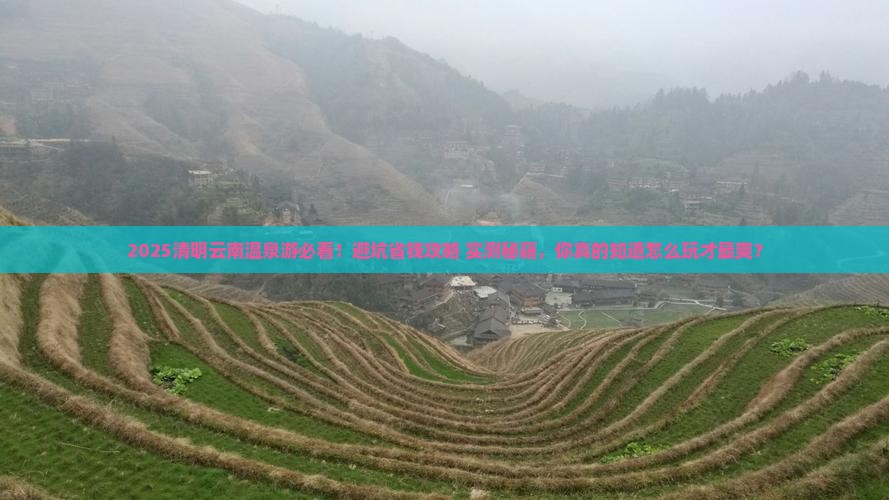 清明节到云南温泉个人游