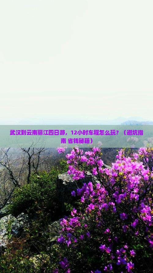 武汉到云南丽江四日游