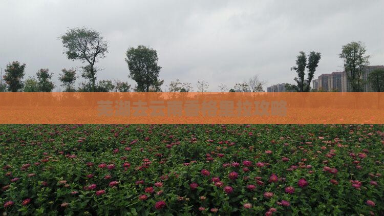 芜湖去云南香格里拉攻略
