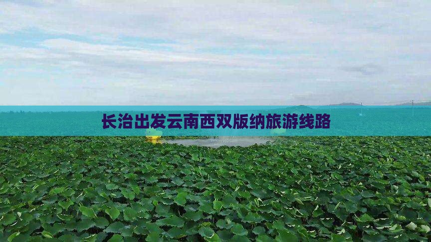 长治去云南西双版纳旅行社
