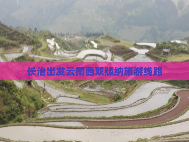 长治去云南西双版纳旅行社