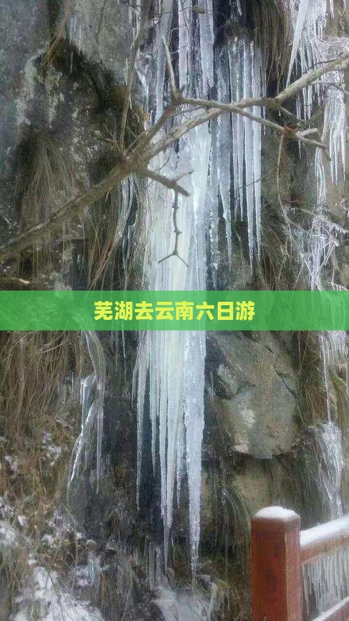 芜湖去云南六日游