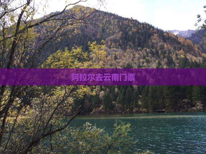 阿拉尔去云南门票
