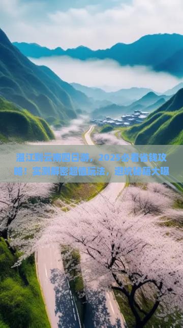 湛江到云南四日游