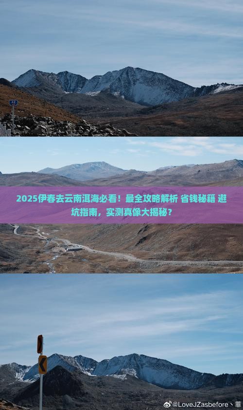 伊春去云南洱海攻略