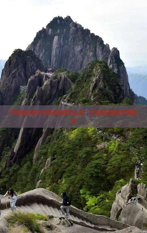 河池去云南泸沽湖自由团