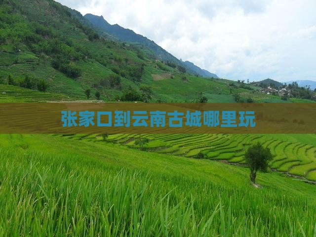 张家口到云南古城哪里玩