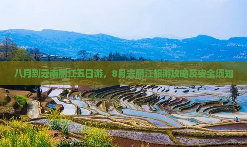 八月到云南丽江五日游
