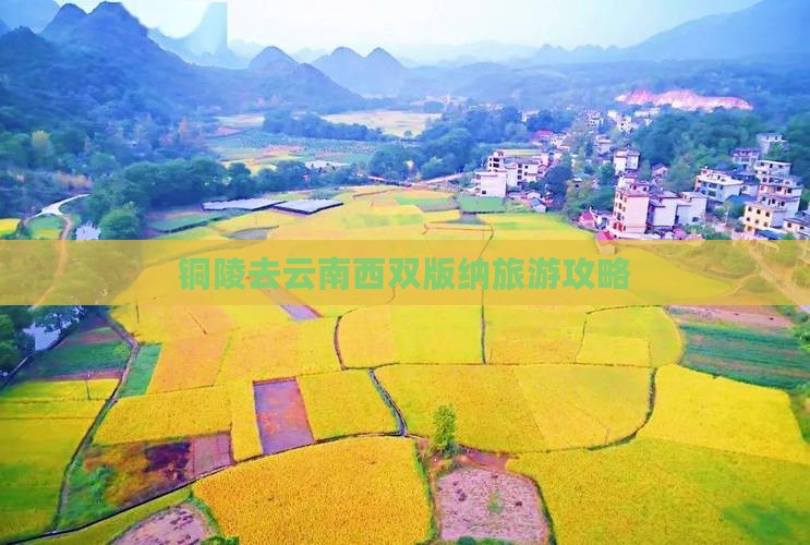 铜陵去云南西双版纳攻略