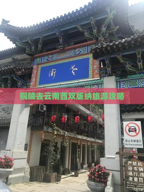 铜陵去云南西双版纳攻略