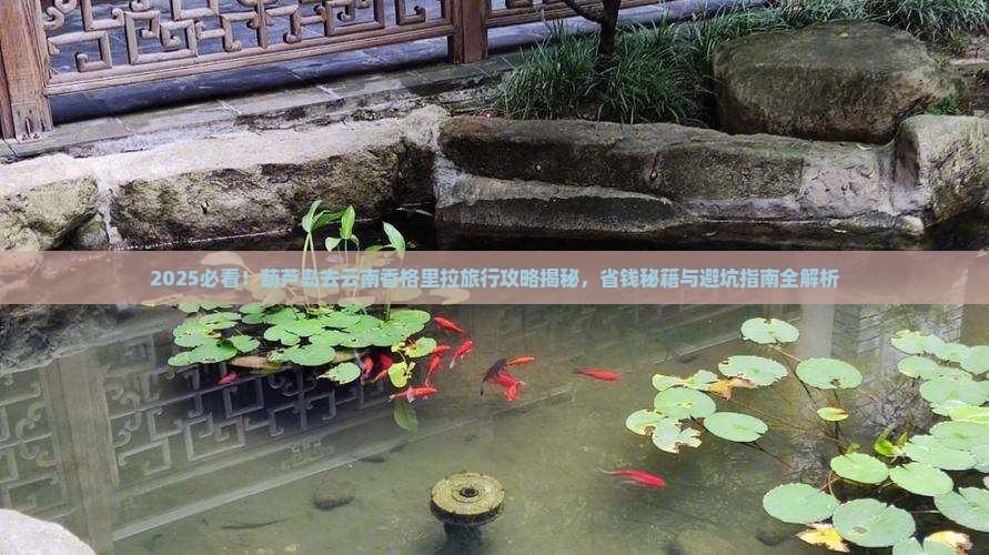 葫芦岛去云南香格里拉旅行社