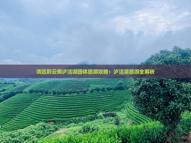 清远到云南泸沽湖团体旅游
